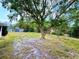 A large backyard featuring a grassy area with scattered patches and some mature trees at 1931 N Portillo Dr, Deltona, FL 32738