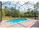 Screened-in pool surrounded by lush greenery, perfect for relaxation and outdoor enjoyment at 2320 Red Ember Rd, Oviedo, FL 32765