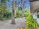 Sideyard landscaping featuring native trees, plants and pea gravel at 2350 Worthington Rd, Maitland, FL 32751
