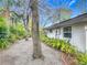 Sideyard landscaping featuring native trees, plants and pea gravel at 2350 Worthington Rd, Maitland, FL 32751