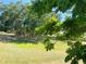 Expansive, green backyard featuring a classic wooden fence bordering the property at 30732 Lipizzan Ter, Mount Dora, FL 32757