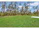 Expansive backyard featuring lush green grass and a beautiful wooded backdrop offers privacy at 4364 Sw 172Nd Street Rd, Ocala, FL 34473