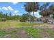 Lush backyard featuring an in-ground pool, mature palm trees, and well-maintained landscaping at 820 Hobson St, Longwood, FL 32750