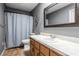 Traditional bathroom featuring gray walls, white vanity, and a shower with light blue curtain at 1650 Old Eustis Rd, Mount Dora, FL 32757