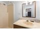 Bathroom featuring a walk-in shower, vanity with mirror, and wood cabinets at 1650 Old Eustis Rd, Mount Dora, FL 32757
