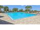 Large community pool with sun loungers surrounded by lush greenery and palm trees at 17226 Hickory Wind Dr, Clermont, FL 34711