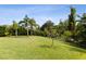 Expansive backyard featuring a lush lawn and tropical landscaping with palm trees at 2842 Balforn Tower, Winter Garden, FL 34787