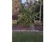 A healthy orange tree growing in a Florida backyard at 2842 Balforn Tower, Winter Garden, FL 34787