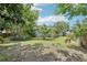 Expansive backyard with mature trees, lush landscaping, and natural surroundings, ideal for relaxation and privacy at 318 E Jersey St, Orlando, FL 32806
