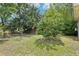 A lush backyard featuring mature trees and green space perfect for outdoor activities and relaxation at 318 E Jersey St, Orlando, FL 32806