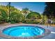 This hot tub surrounded by bushes, trees, and shrubbery has easy access to the steps and railing at 3643 Calabria Avenue, Davenport, FL 33897