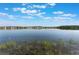 Lake view with lush green vegetation along shoreline and neighborhood homes at 10097 Lake District Ln, Orlando, FL 32832