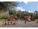 Community playground with swings, slide, and climbing structures at 10097 Lake District Ln, Orlando, FL 32832