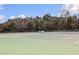 Community tennis court surrounded by lush green trees and shrubbery at 10097 Lake District Ln, Orlando, FL 32832