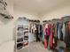 Walk-in closet with built-in shelving and rods for ample storage at 11091 Bagley Aly, Windermere, FL 34786
