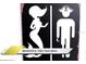Bathroom artwork featuring mermaid and pirate imagery for a unique and thematic design element at 1466 Moon Valley Dr, Champions Gate, FL 33896