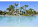 A large luxurious community pool with a water slide surrounded by numerous mature palm trees at 1466 Moon Valley Dr, Champions Gate, FL 33896