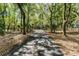Long paved driveway leading to the home through a dense wooded area at 2705 Curryville Rd, Chuluota, FL 32766