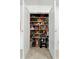 Walk-in pantry with ample storage space for food and small appliances at 2926 Boating Blvd, Kissimmee, FL 34746
