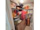 Walk-in closet with wire shelving containing an assortment of personal and household items at 5300 S Atlantic Ave # 6-502, New Smyrna Beach, FL 32169