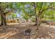Large backyard features a fire pit, large shade trees, and partial view of the home at 5750 Delta St, Orlando, FL 32807