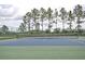 Well-maintained community tennis court with green and blue surface, surrounded by tall trees and a secure fence at 839 Timber Isle Dr, Orlando, FL 32828
