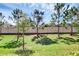 Lush backyard with manicured lawn, mature trees, and a white fence at 11968 Sands Cv, Orlando, FL 32828