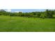 Lush backyard features a grassy expanse and natural landscaping, creating a serene outdoor space with green space at 14231 Sonco Ave, Windermere, FL 34786