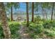 A tranquil view of the lake from the backyard, nestled among lush trees, offering a serene natural escape at 1778 Waterside Oaks Dr, Orange City, FL 32763