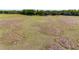 Sprawling land with plenty of space and trees, perfect for privacy, recreation, and enjoying nature at 35651 Huff Rd, Eustis, FL 32736