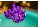 Close-up of purple orchids near a shimmering pool, highlighting the tranquil outdoor atmosphere at 502 Oak Ln, Maitland, FL 32751