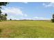 Vast grassy field perfect for recreation or relaxation, with views of the scenic landscape at 1093 Hidden Harbor Ln, Kissimmee, FL 34746