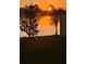 Picturesque backyard view with sunrise over the lake, framed by trees and a charming fence, offering privacy at 1631 Pontiff Pl, Davenport, FL 33896