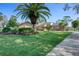 Inviting front yard with lush green grass and mature palm trees at 169 Mallard Ln, Daytona Beach, FL 32119