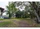 Spacious green backyard with mature trees and natural foliage at 3437 Coronet Ave, Orlando, FL 32833