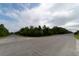 A street view with greenery and a glimpse of a home amid the foliage at 3437 Coronet Ave, Orlando, FL 32833