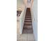 Carpeted staircase leading to the upper level of the home at 651 Taft Dr, Davenport, FL 33837