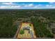 Aerial view of the home in its large lot surrounded by lush trees at 19204 Paddock St, Orlando, FL 32833