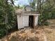 Charming backyard shed, ideal for extra storage or hobbies, adding versatility to the outdoor space at 2120 Lakebreeze Way, Deltona, FL 32738