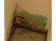 Close up image of corner where the wall meets the floor showing mold and mildew damage at 2120 Lakebreeze Way, Deltona, FL 32738