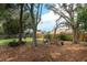 Serene backyard with mature trees, a wooden fence, and lush greenery, offering a peaceful and private outdoor space at 4201 Old Trafford Way, Orlando, FL 32810