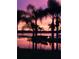 Backyard view of a lake framed by palm trees at sunset with colors reflected in the water at 6375 Topsy Trl, St Cloud, FL 34771