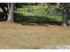 Backyard area with grass and scattered trees, with pond and foliage in the background at 1364 Gainesville Dr, Deltona, FL 32725