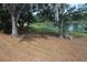Backyard area with grass and scattered trees, pond and foliage in the background at 1364 Gainesville Dr, Deltona, FL 32725
