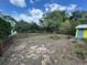 Large, fenced backyard with a shed and mature trees at 825 Poinsettia Dr, Eustis, FL 32726