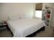 Simple bedroom with neutral carpet, white walls, and large sunny window with roller shade at 9005 Reflection Pointe Dr, Windermere, FL 34786