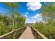 Picturesque boardwalk lined with trees leads to a serene lake under a clear blue sky at 14501 Grove Resort Ave # 2438, Winter Garden, FL 34787