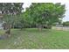 Large backyard with green grass, mature trees, and a new wooden fence at 309 Panama Cir, Winter Springs, FL 32708