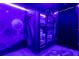 A bedroom with uniquely styled bunkbeds and Star Wars themed decorations at 7224 Oakmoss Loop, Davenport, FL 33837