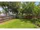 Well-maintained backyard featuring lush green grass, wooden fence, and mature landscaping offering privacy at 7249 Abbey Ln, Winter Park, FL 32792